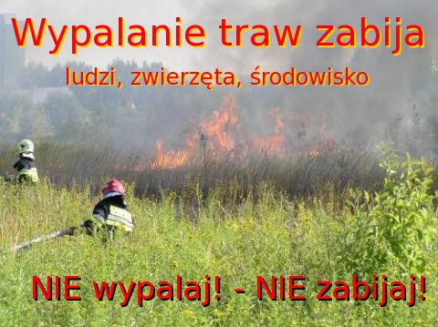 Wypalanie traw