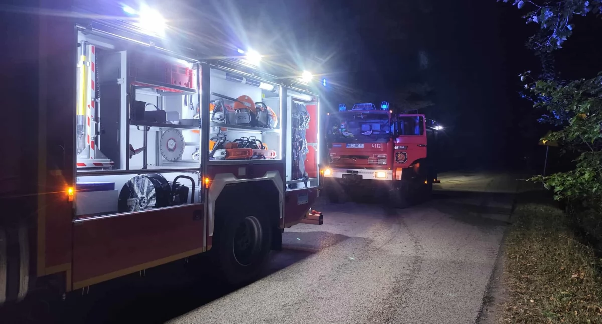 Kolejny pożar lasu na terenie powiatu sochaczewskiego 