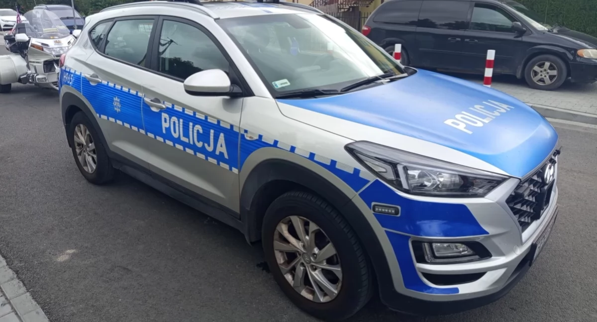 Jeleń w bagażniku — policjanci z Młodzieszyna zatrzymali kłusownika