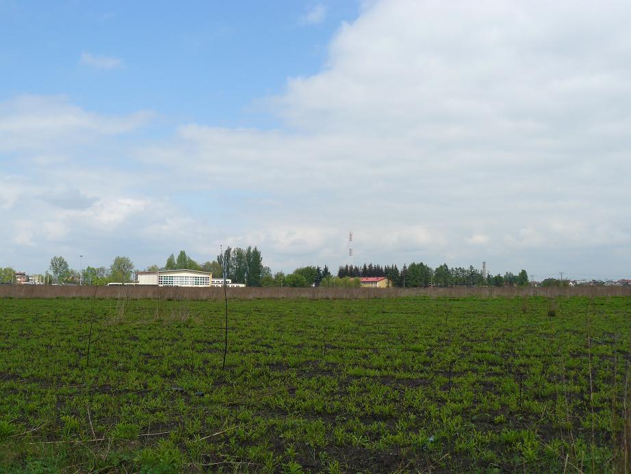 A pola leżą odłogiem …