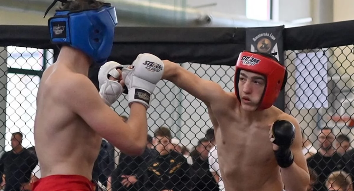 Mistrzostwa Mazowsza MMA – ALMMA 254 w Sochaczewie