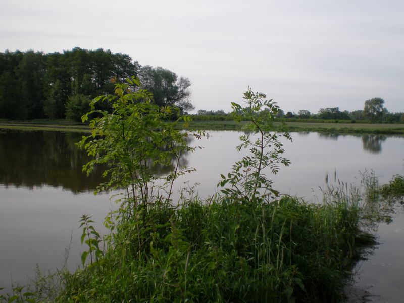 Potrzebna pomoc