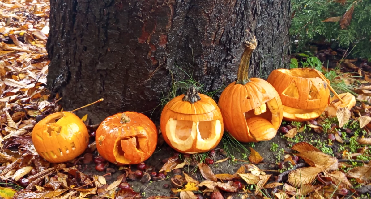 Halloween w Sochaczewie — zabawa wymknęła się spod kontroli