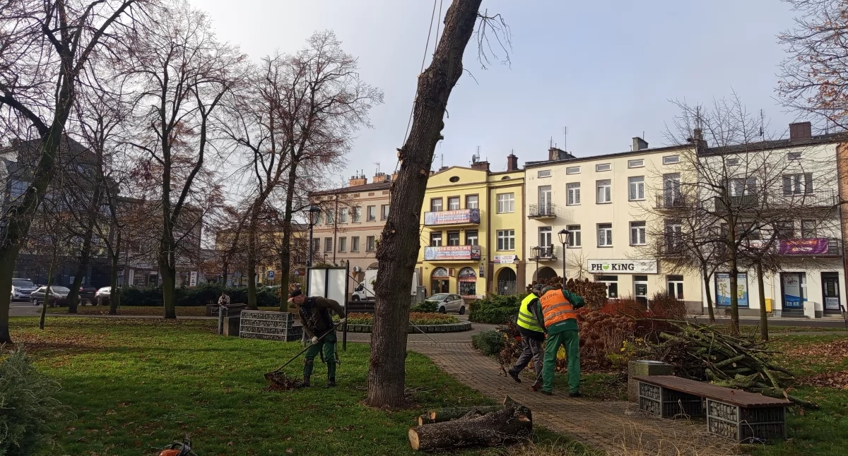 Lepiej późno niż wcale — śladem naszych interwencji