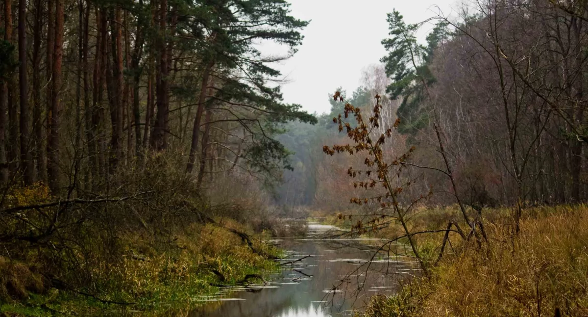 Kampinoski Park Narodowy zaprasza na seminarium naukowe