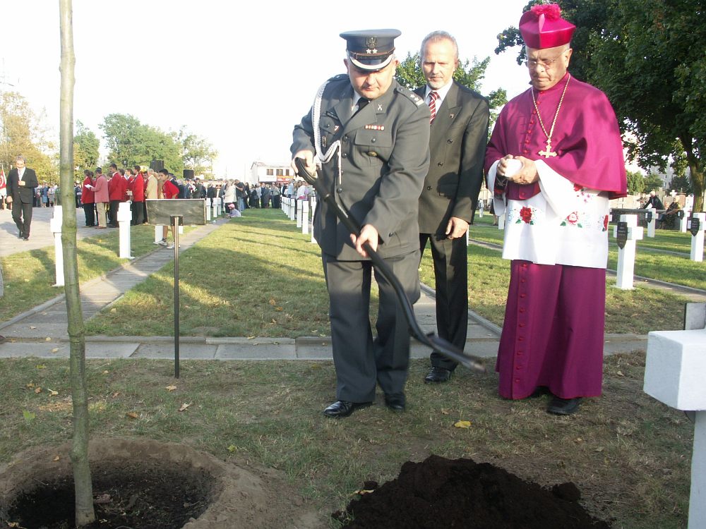 Dęby Katyńskie po raz drugi