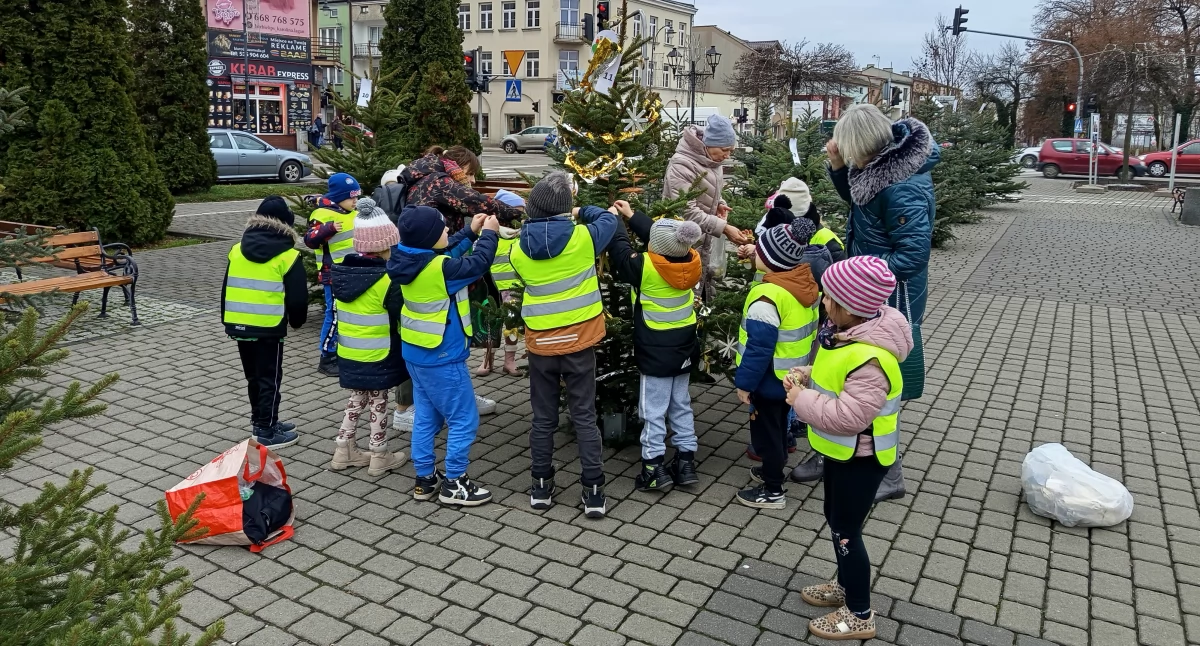 Choinka pod choinkę — druga edycja świątecznego konkursu