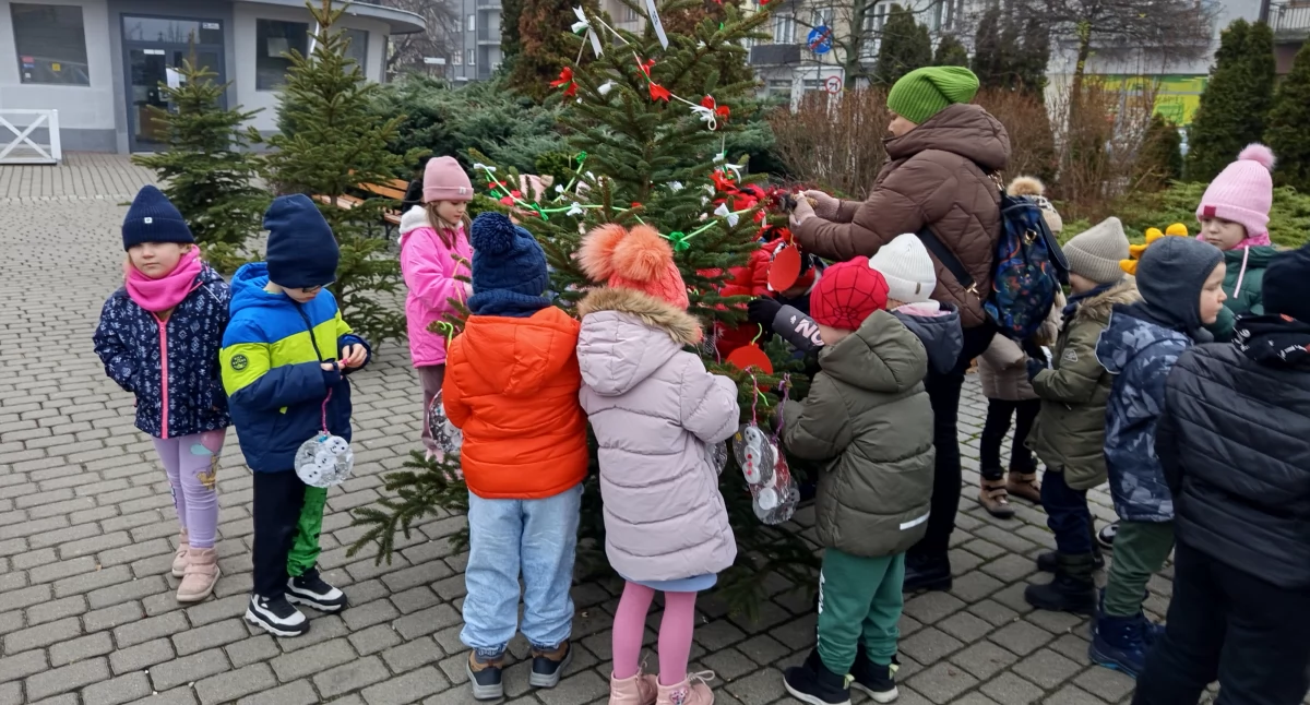 Wybierz najładniejszą choinkę  