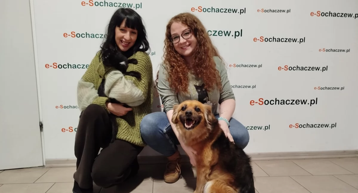 Jak pomóc bezdomnym i przydomowym zwierzakom na zimę? - Marta Pytlowany z organizacji 