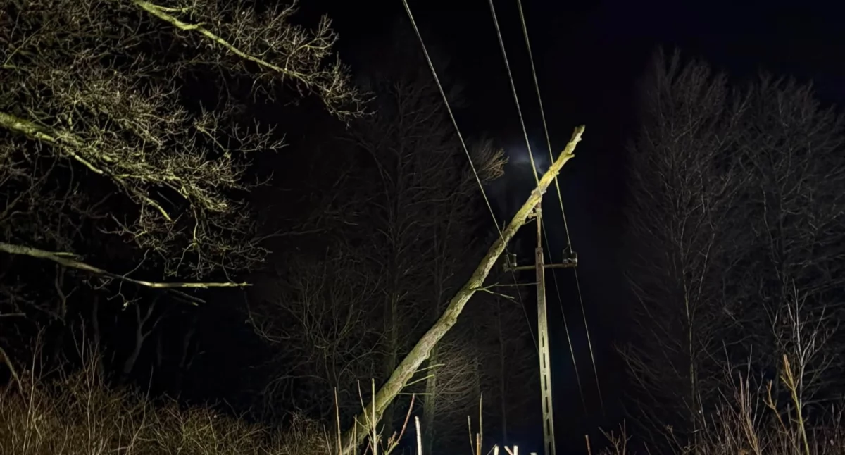 Interwencja w Tułowicach — drzewo oparło się o linię energetyczną
