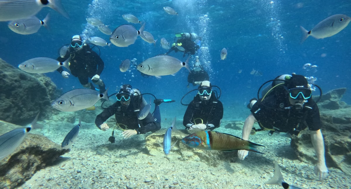 Wygraj VOUCHER na nurkowanie na Cyprze! - IPA DIVERS CYPRUS 
