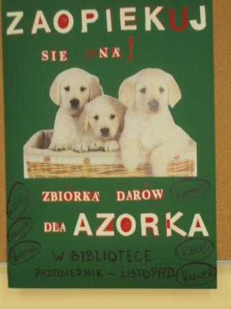 Dary dla schroniska „Azorek”, konkursy, wystawy, spotkania…