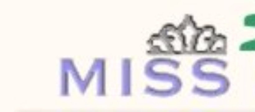 Sochaczewska Miss Internetu 2004