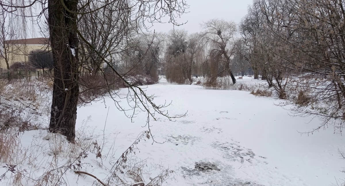 Szambo z fontanną - staw w parku Garbolewskiego 