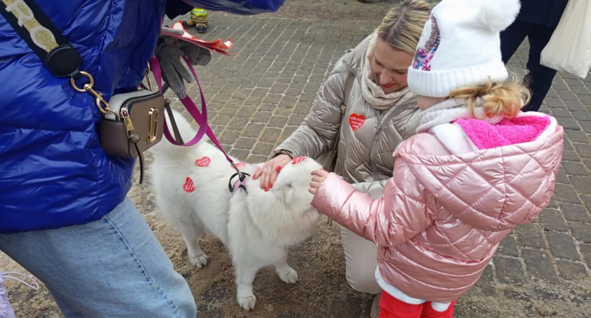 Sochaczew gra z Wielką Orkiestrą Świątecznej Pomocy