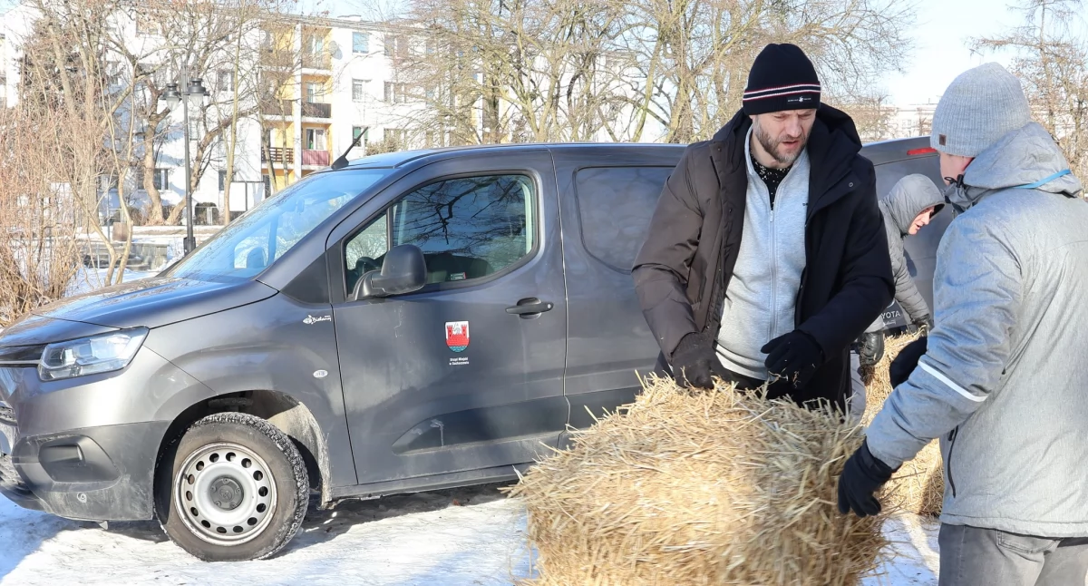 Ratują ryby w stawie w Parku Garbolewskiego 