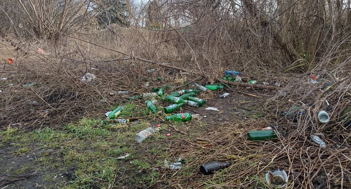 Wysypisko wzdłuż torów sochaczewskiej wąskotorówki - kto posprząta po zimie