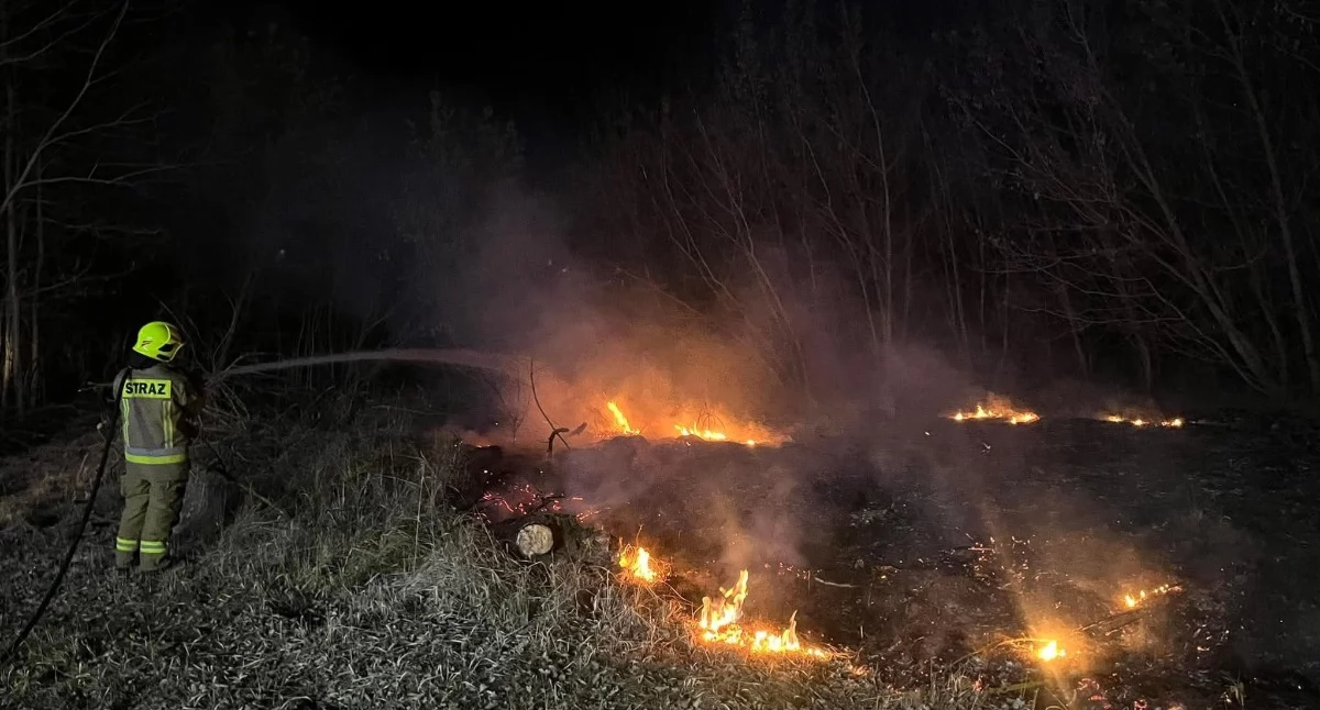 Sezon bezmyślności rozpoczęty - pomyśl zanim podpalisz trawę