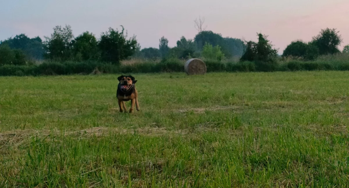 Gdzie na spacer w Sochaczewie i okolicach? 