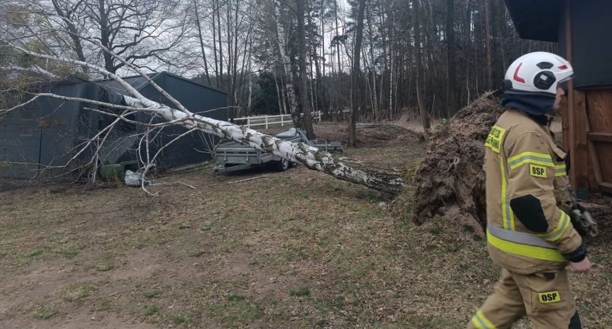 Wichura przeszła nad powiatem - połamane drzewa, pozrywane dachy i alarm w szpitalu