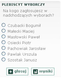 Plebiscyt wyborczy e-Sochaczew.pl dobiegł końca