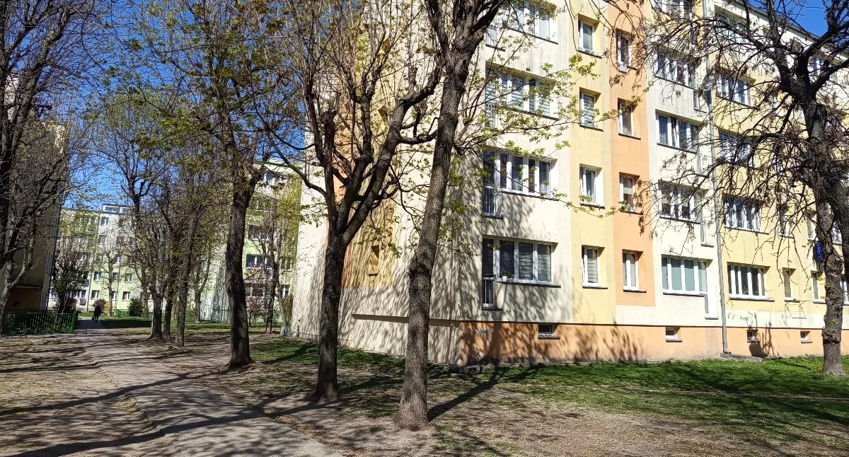 Pluskwy wędrują przez Sochaczew - strach na osiedlu Senatorska