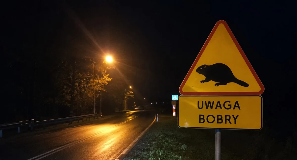 Nietypowa interwencja w gminie Brochów - policjanci pomogli bobrowi 