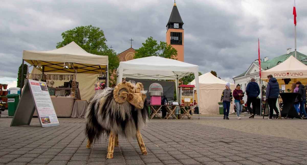 Sochaczew zagościł regionalne smaki i tradycje na trzydniowym festiwalu