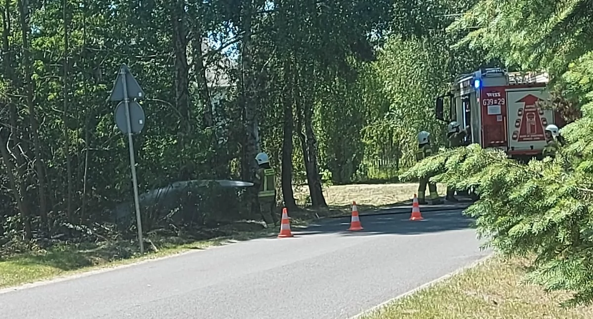 Pożar lasu w Mokasie 