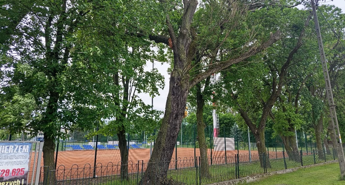 Niedbalstwo urzędników może zniszczyć sochaczewskie korty