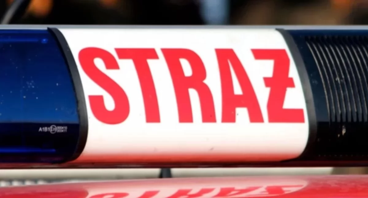 Tragedia w Nowej Małej Wsi - uderzyła fordem w drzewo, zginęła na miejscu