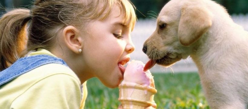 Wy nie wiecie, a jak wiem jak rozmawiać trzeba z psem - podsumowanie konkursu