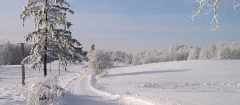 Akcja - 18.01.2011