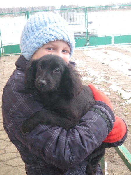 Adopcje 2010