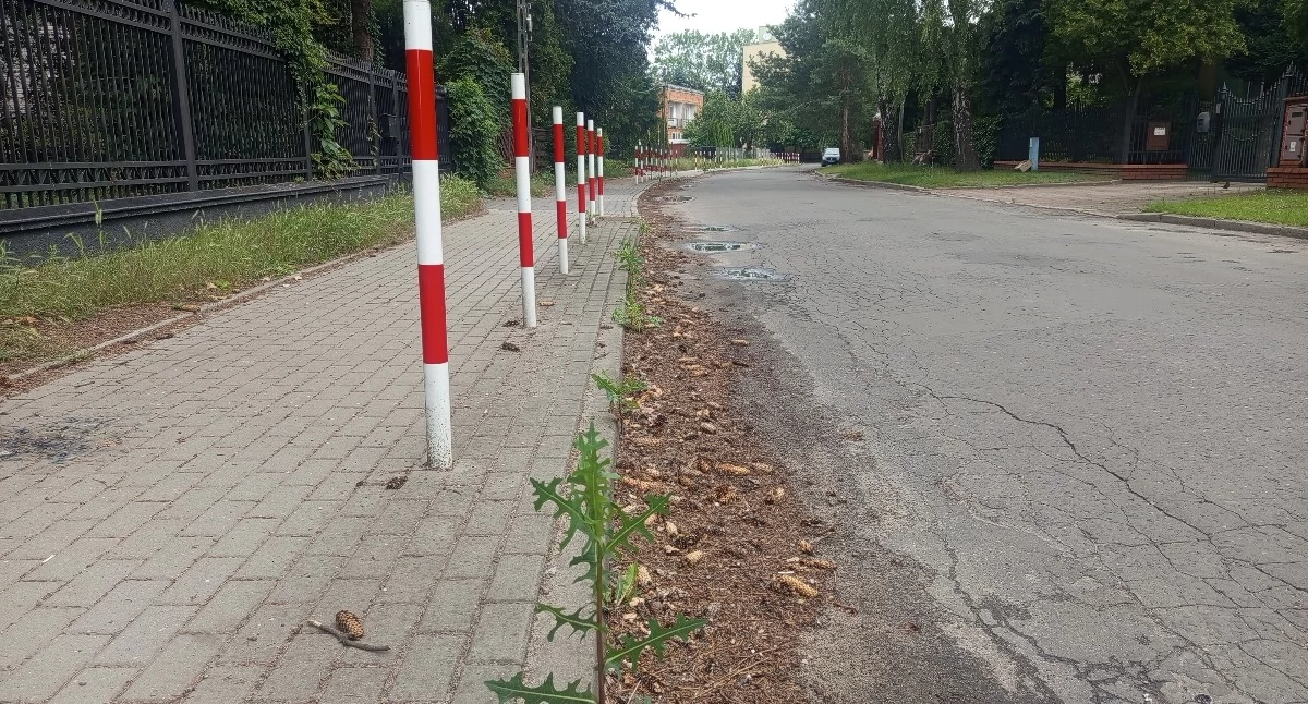 Czyżby miejskim służbom w Sochaczewie zabrakło mioteł i łopat?