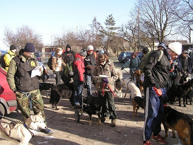 Siedlec - I Zimowy Dogtrekking