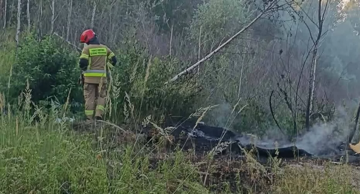 Kolejny pożar śmieci i opon w Plecewicach - strażacy ponownie interweniowali w tym samym miejscu