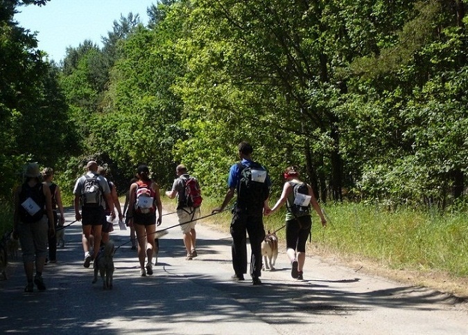 Dobry początek w Pucharze kujawsko-pomorskim 2011 w Dogtrekkingu