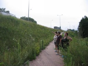 Działkowcy głuchną, ekranów brak