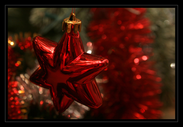 Życzenia od Porozumienia Ziemi Sochaczewskiej - 22.12.2011