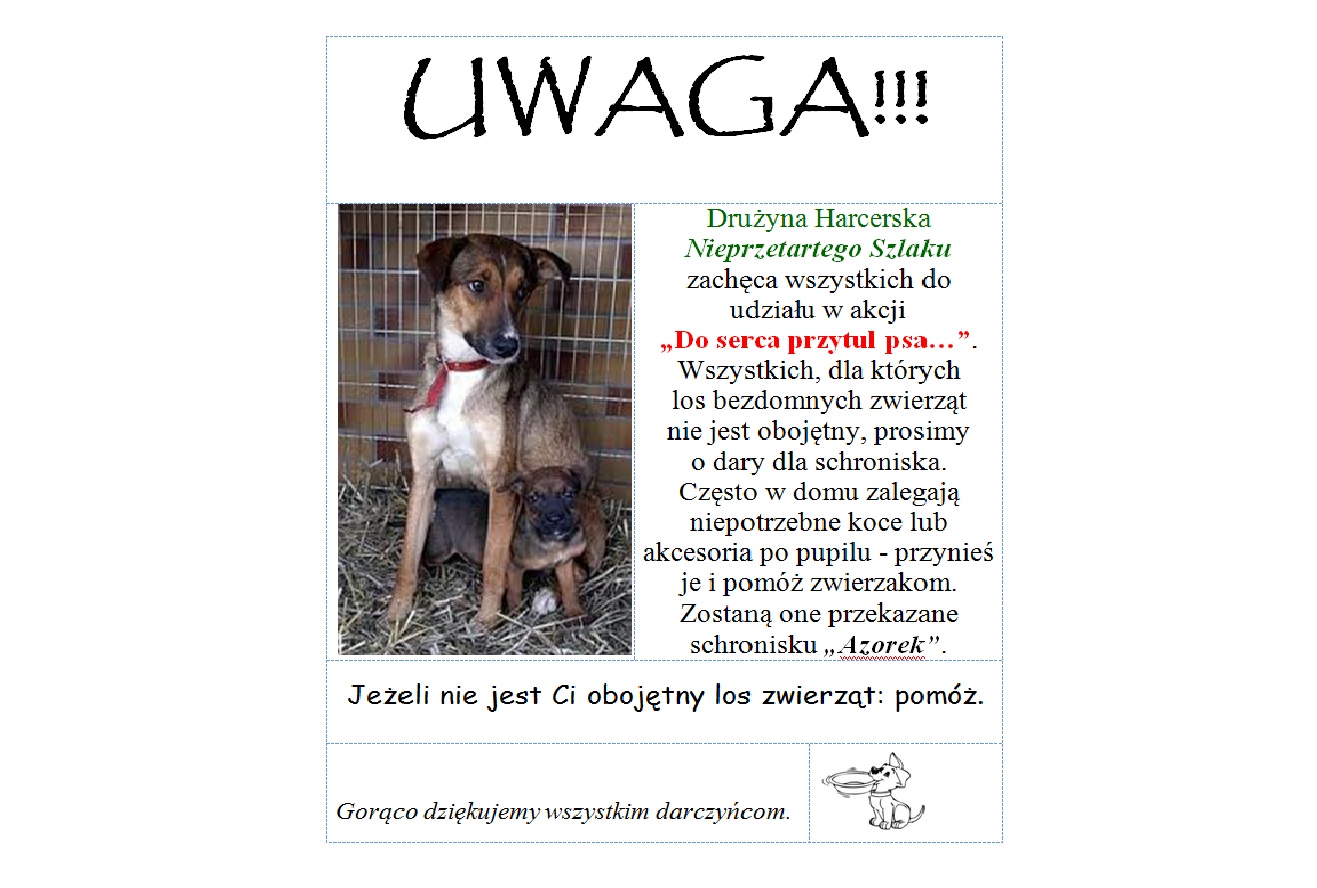 Podsumowanie akcji 