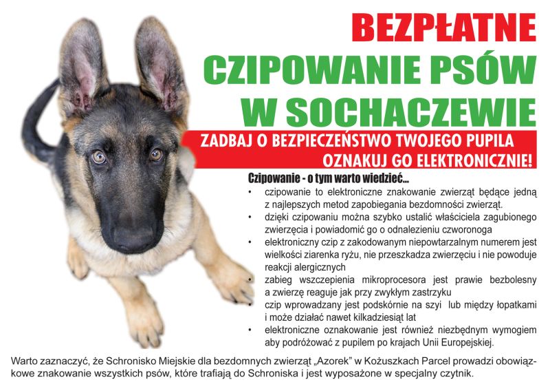 Oznacz swojego psa - za darmo