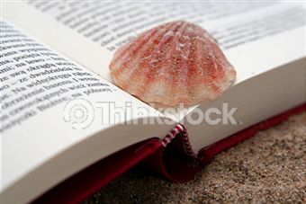 Godziny pracy Biblioteki Pedagogicznej w lipcu i sierpniu