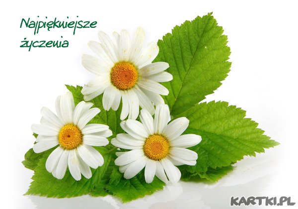 Życzenia dla Seniorów