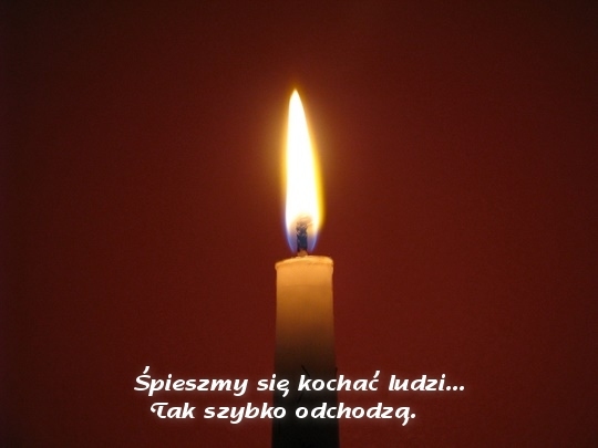 Słowo Boże na dziś - 02.11.2012