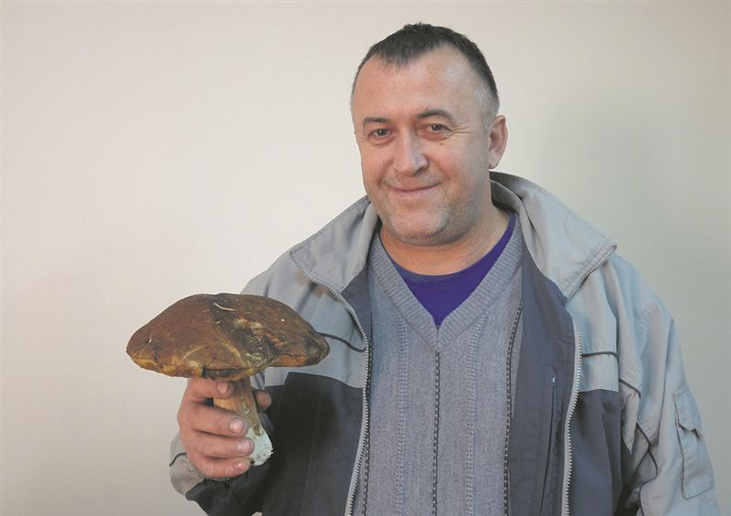 Nagrodzimy grzybiarzy