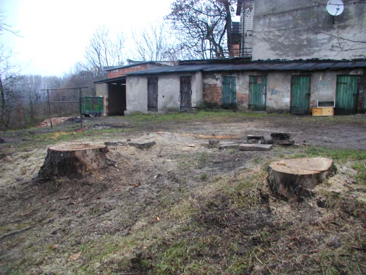 Toruńska bez drzew
