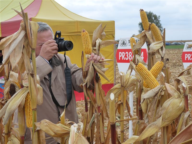 GMO - przyszłość czy zagrożenie?