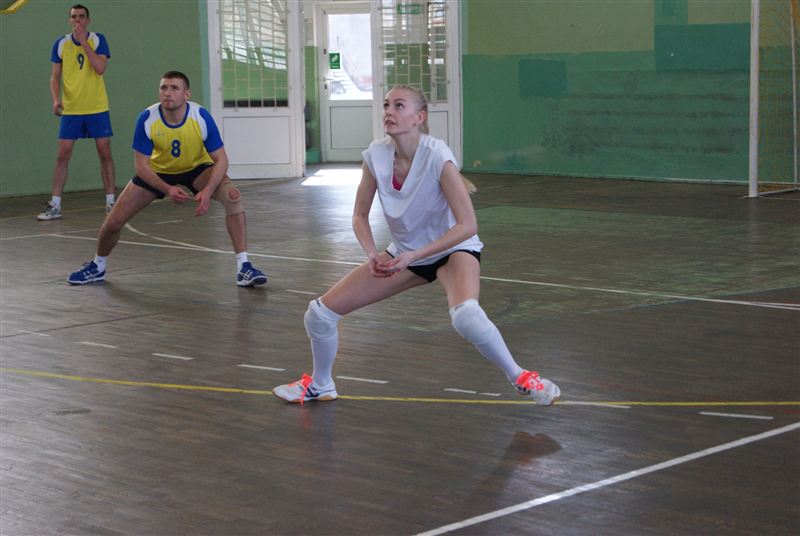 Ogrodnicy mistrzami