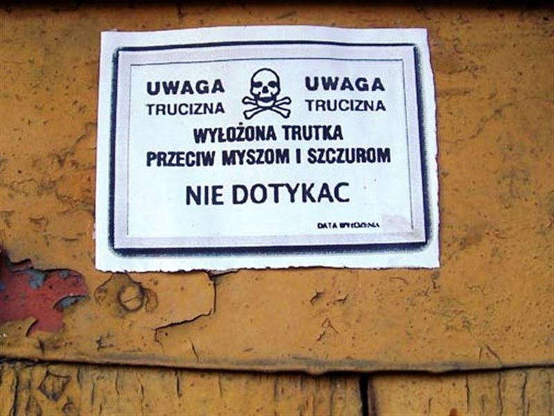 Od 15 kwietnia obowiązkowa deratyzacja